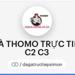 xem đá gà trực tiếp thomo c1 c2 c3 c4