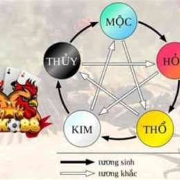 xem gà đá trên mạng