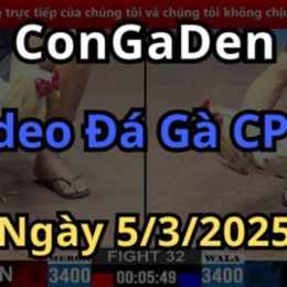 xem lai da ga c2 hom nay