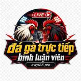xem trực tiếp đá gà bình luận viên cú đến