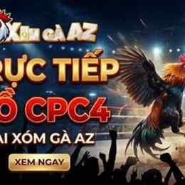 xóm gà az đã trực tiếp